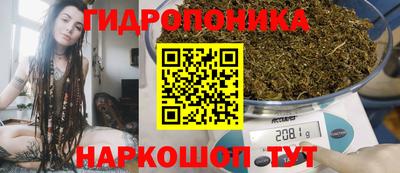 гашик Дубна