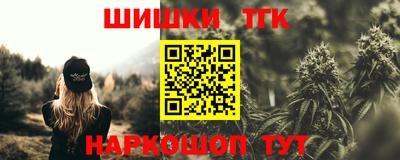 гашик Дубна