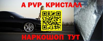 гашик Дубна