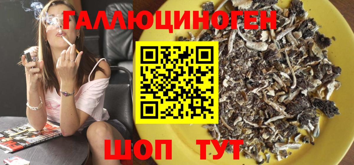 Псилоцибиновые грибы Psilocybine cubensis  Вход с VPN  Моздок 